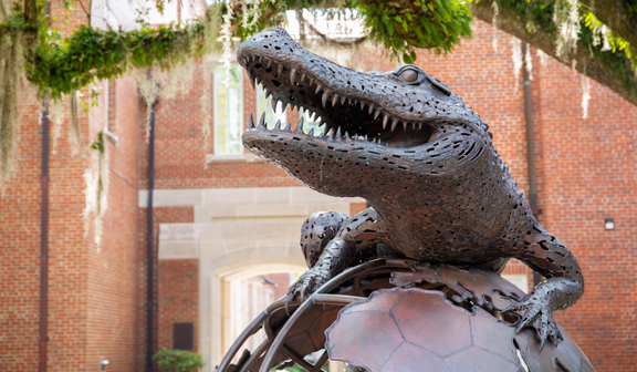UF offers world-class graduate education with a worldwide reach.